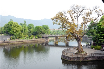 璧山秀湖公园一角 邹华德 摄