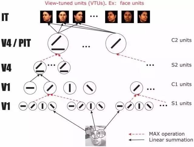 性别人口模型_人口普查(3)