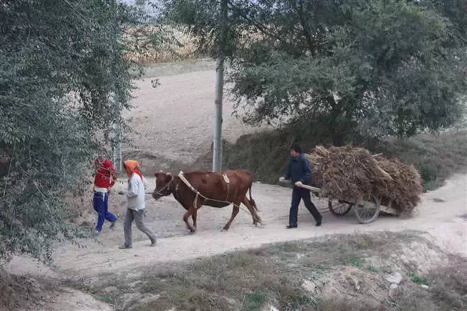 人力架子车——拉的拉,推的推,团结就是力量!