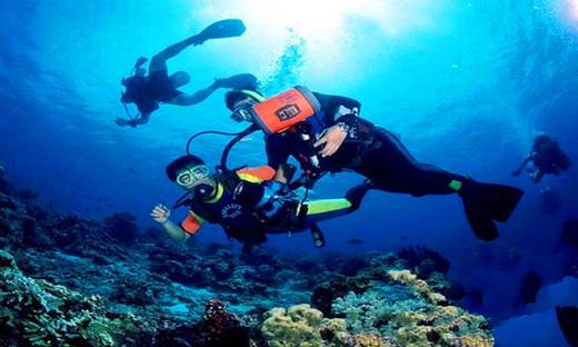 海南这4个潜水胜地:千万游客慕名而来，只为搭讪这片海!_搜狐旅游_搜狐网