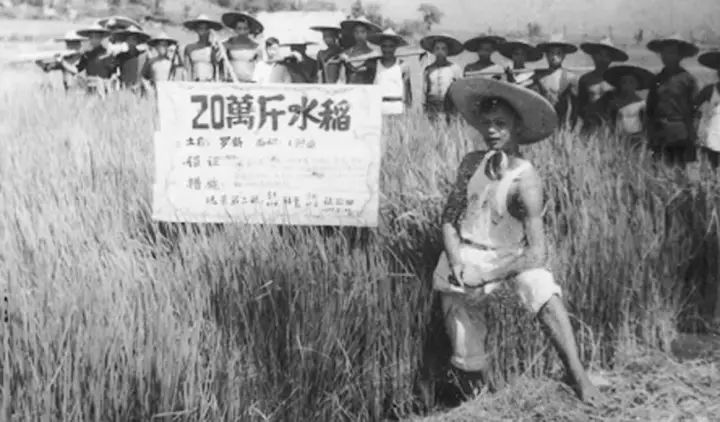 1959年,你爸刚出生没多久,就碰上三年自然灾害,差点没饿死.