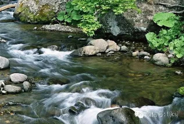 《小河淌水》宁静自然.