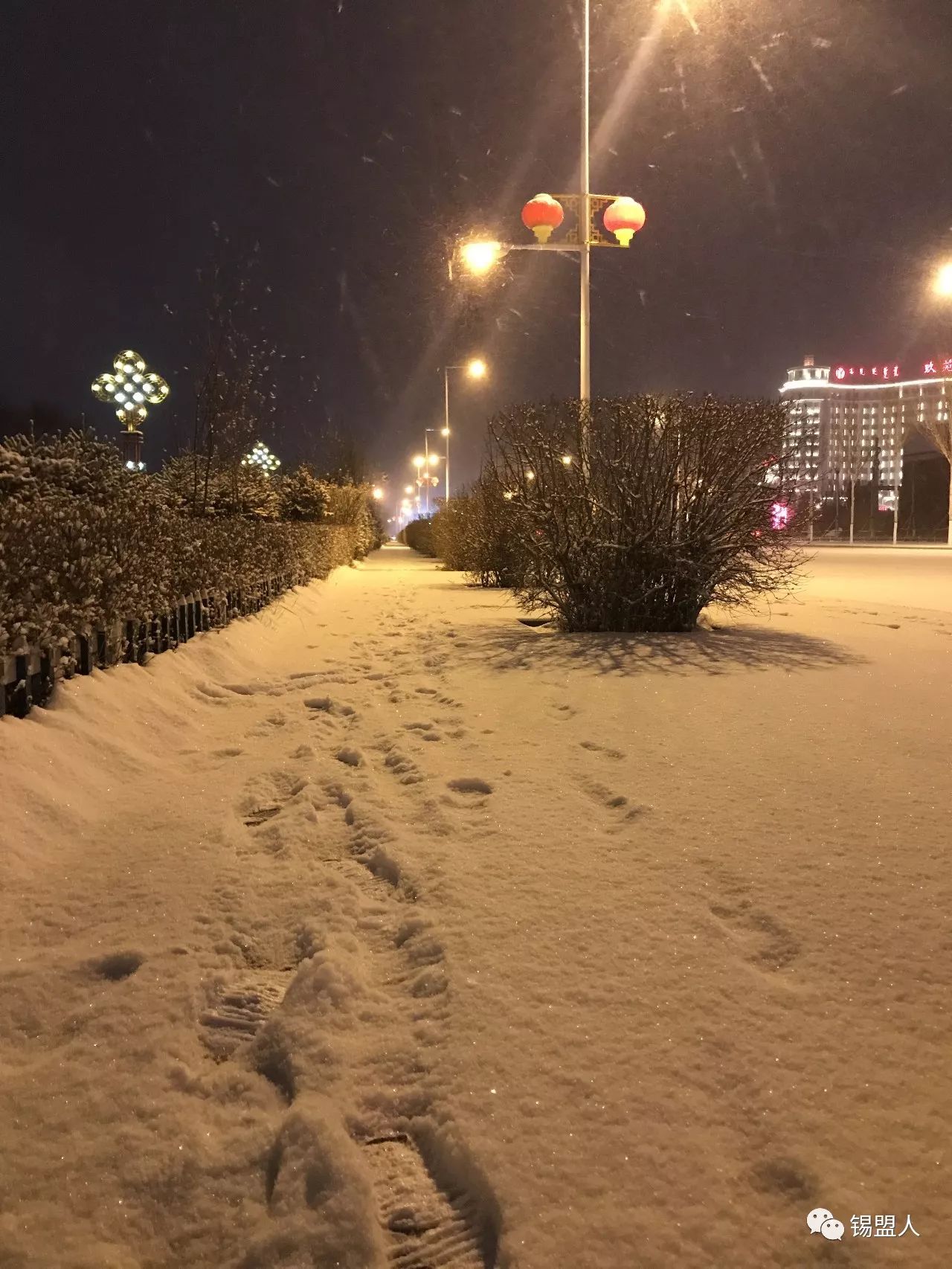 一起来看今夜大雪纷飞