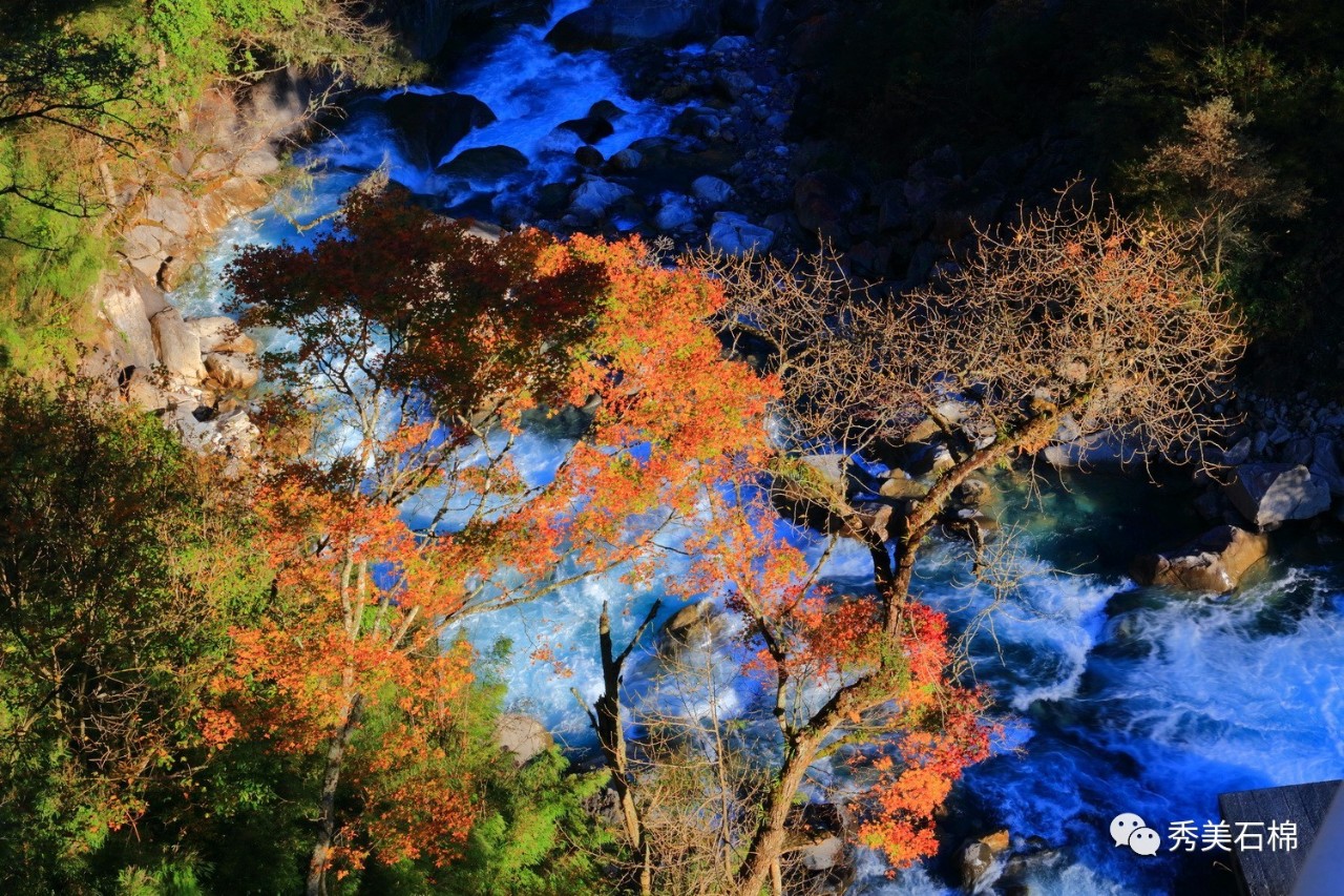 秀美石棉,满山红叶似彩霞.