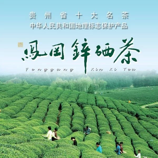 凤岗锌硒茶