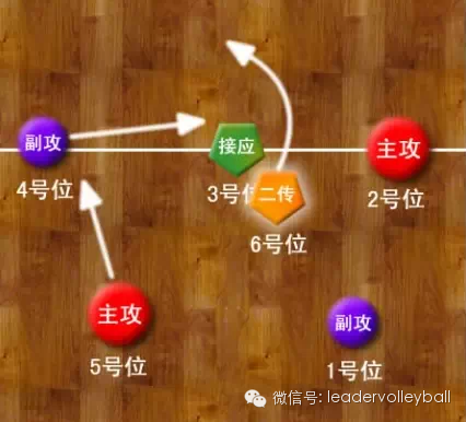 【进攻站位】排球场不得不说的站位图解,何为阶梯进攻!