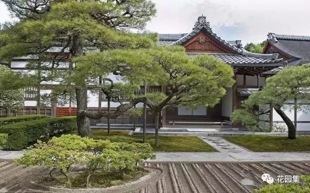 松树在日式庭院中被广泛应用的原因还在于它四季常青,且松树被文人