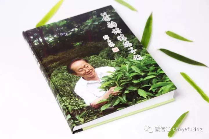 名家 陈文怀:茶事生涯年有异,如花香艳传人民