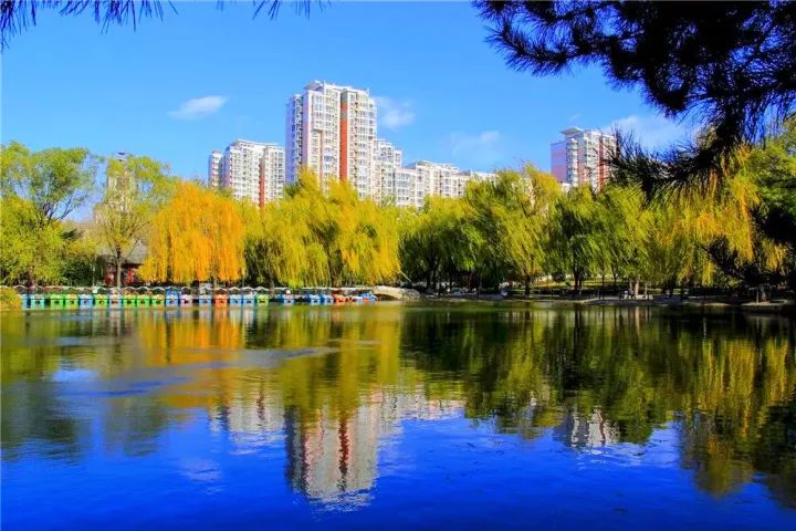 比颐和园大,比奥森美,北京又开放了一家免费又好玩的公园!