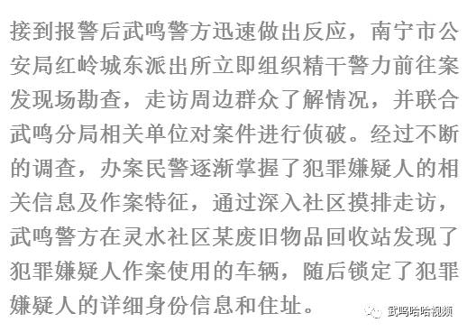 盗心贼黑龙简谱_盗心贼简谱图片(2)