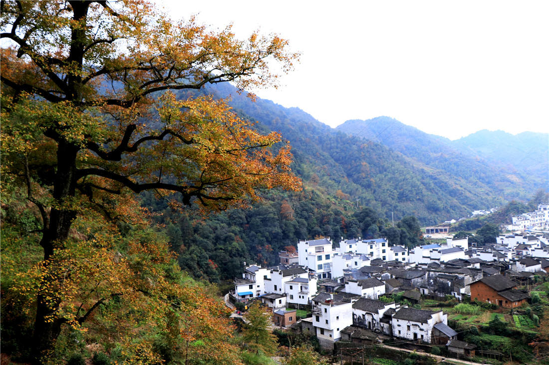 又一条高铁途径最美乡村婺源!九景衢铁路自昨日起开始试运行