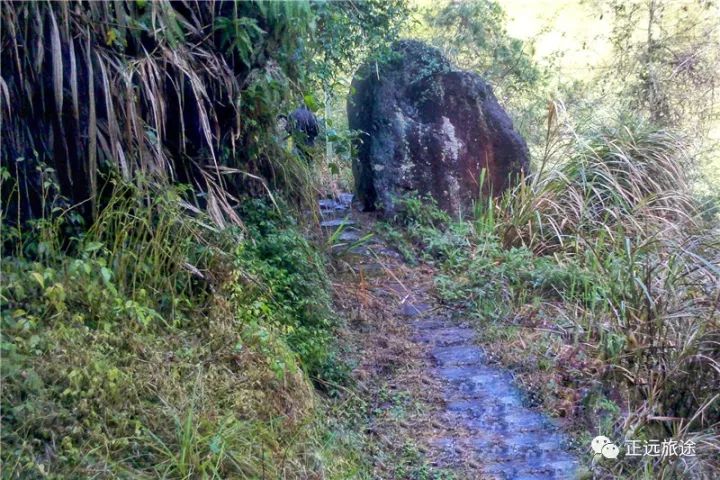 平阳西部有个古村,犹如世外桃源,所见之处皆成景