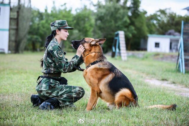 《奇兵神犬》,化身军人,带了一只据说80斤的重的艾勒薇斯一起训练和