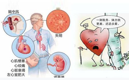 血压高160低120怎么办