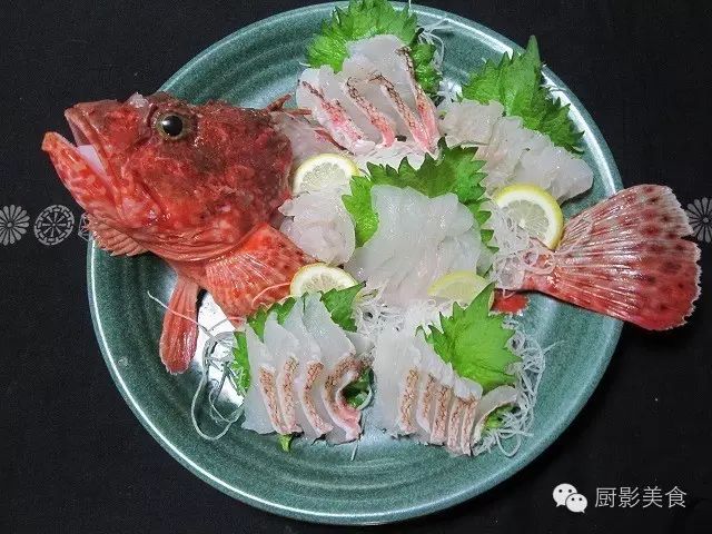 褐菖鲉,又名石狗公,石头鱼,这种鱼长相丑陋,头大鳍硬,但肉味非常鲜美