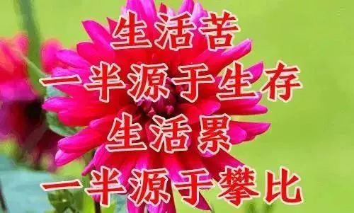 农历10月第一天,最美10个字 10首歌 10张图,谁打开谁幸福