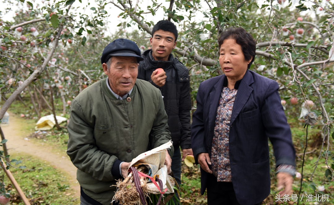 自产自销苹果的农村老人,过足了称再给你搭上3,5个