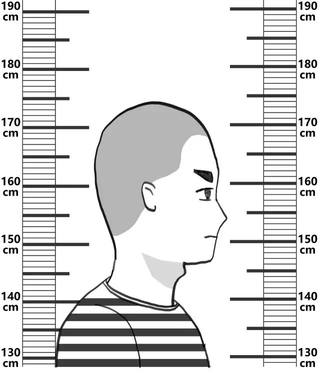 简谱人生何处不相逢_人生何处不相逢(2)