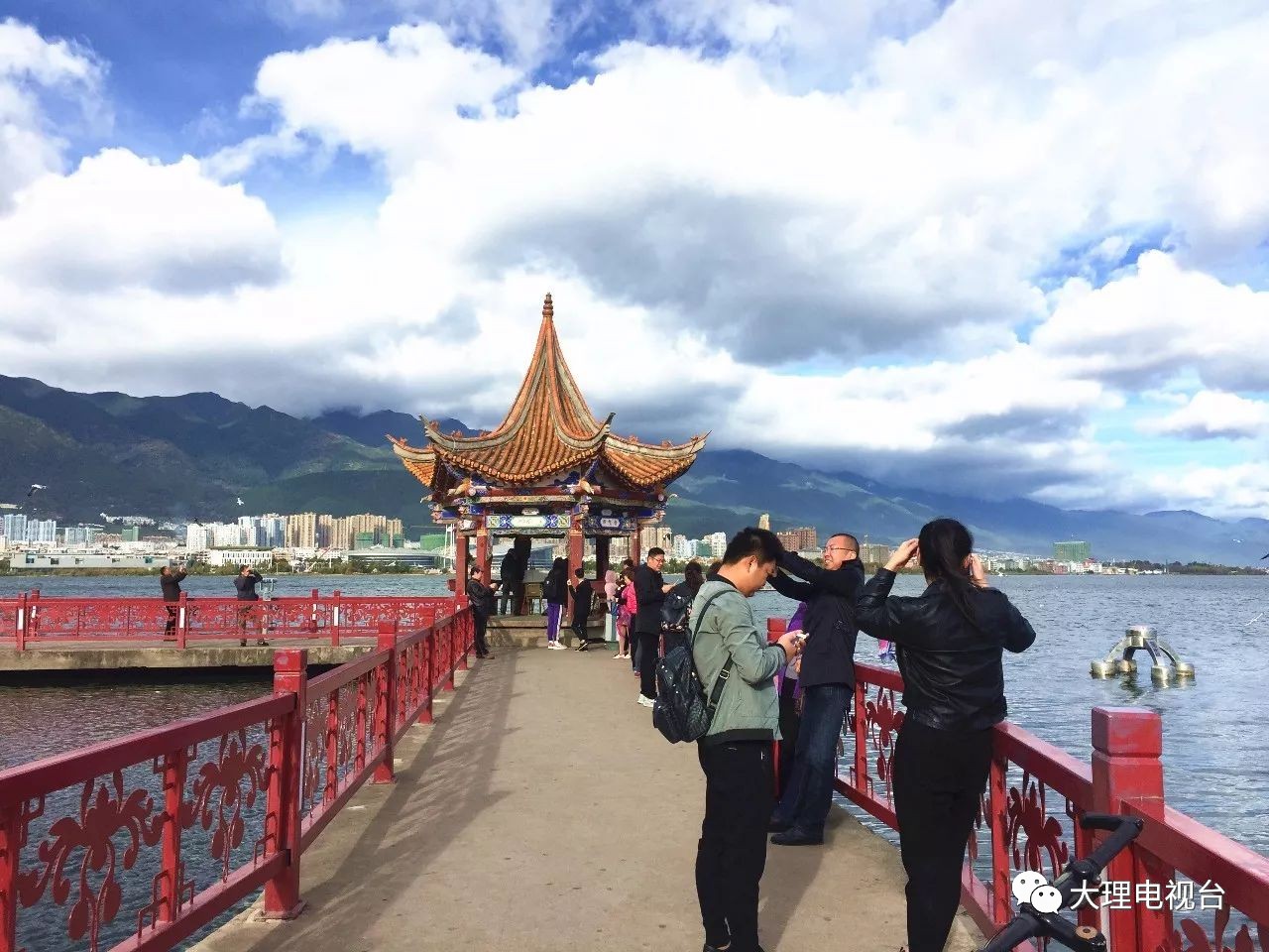 红嘴鸥来海心亭啦!周末还不快去?