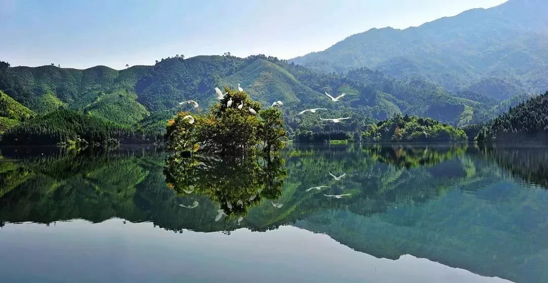 公园有一处离镇中心大约有5公里在粤北氧吧之城—连山天鹅湖地址