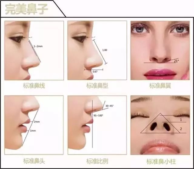 然而,由于各种各样的原因,东方人的鼻子普遍塌陷,不够立体,没有辨识度