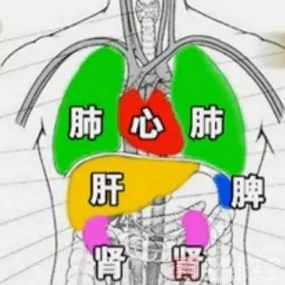 大国医说养生 |"千寒易除,一湿难去",怎么去痰湿最快