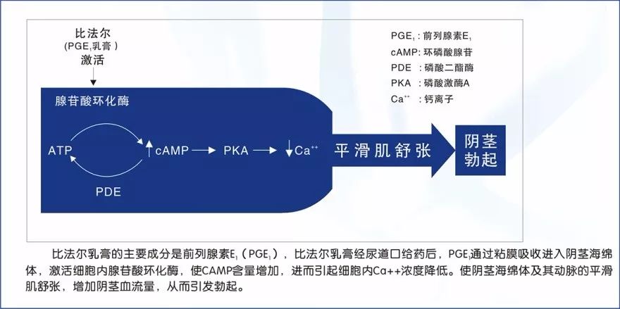 全国独家生产比法尔小儿咳嗽糖浆隆重招商