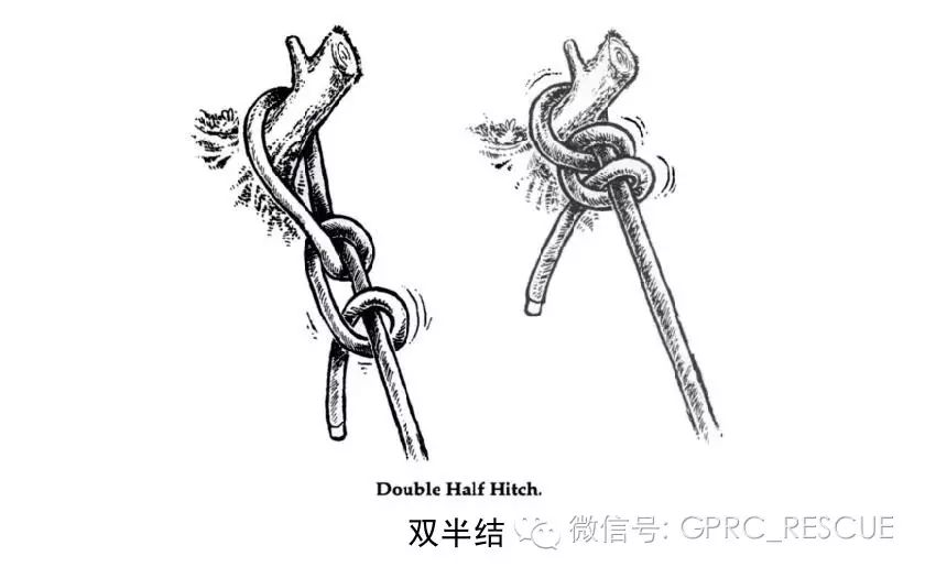 【一日一结】双半结(double half hitch)