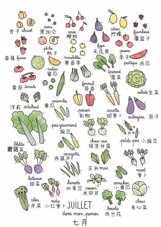 法语词汇卡12个月的时令蔬菜水果