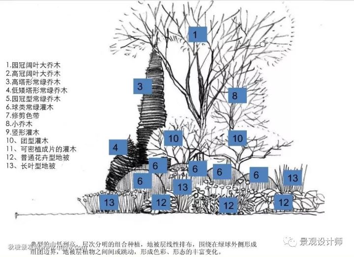 景观植物配置方法图文详解