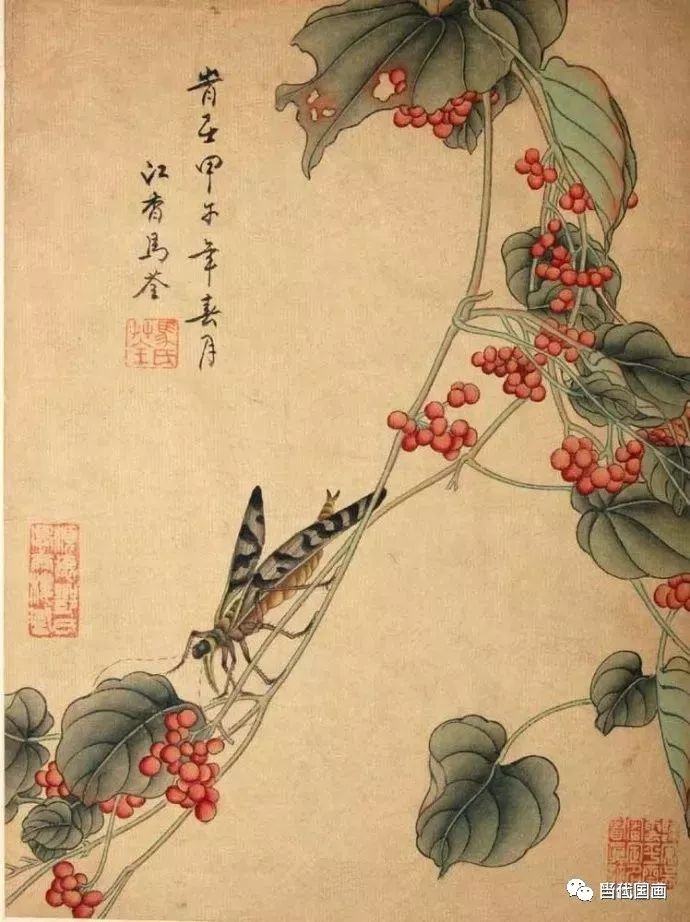 清代女画家马荃《花鸟虫草》册页欣赏