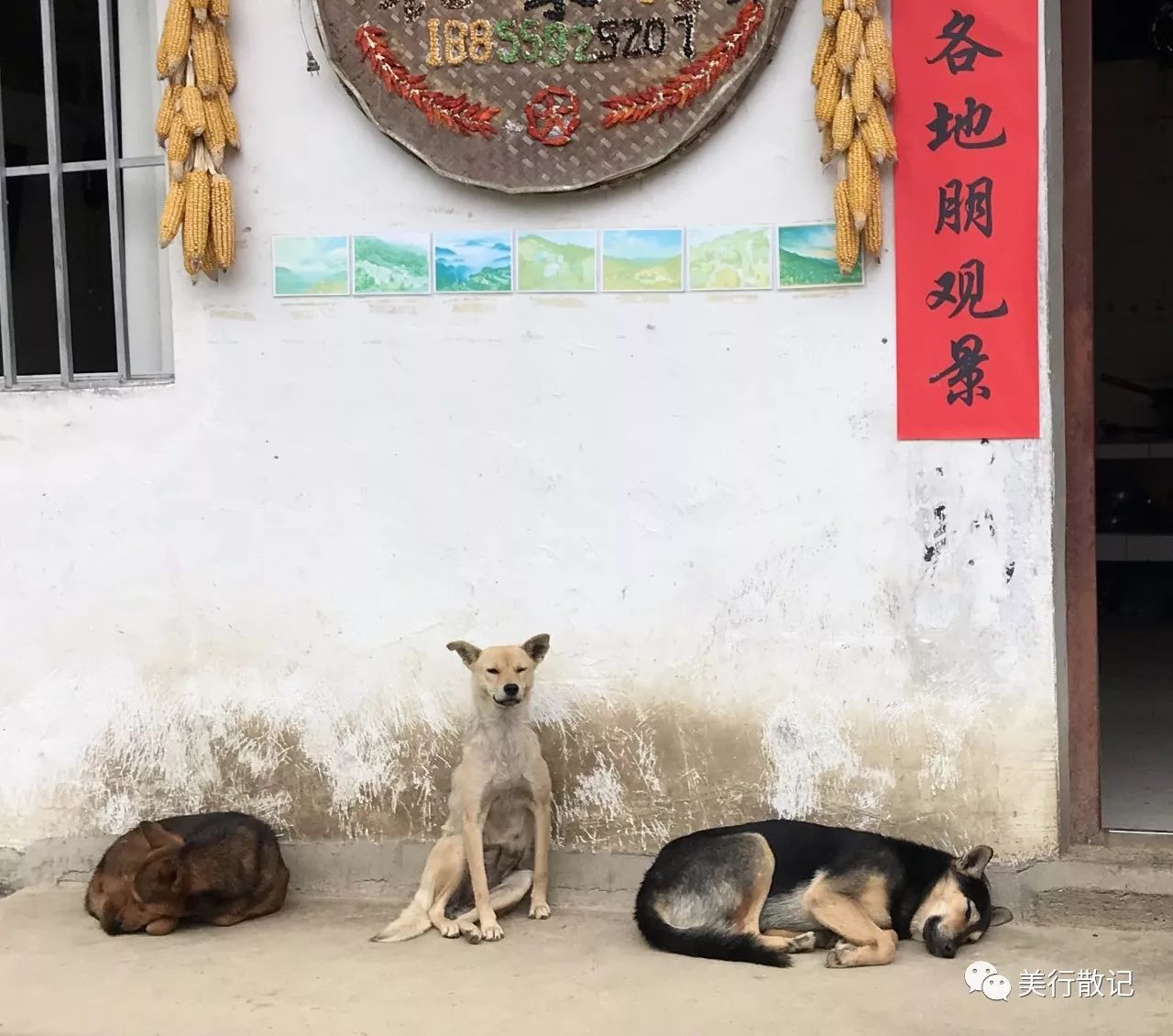 岁月静好是什么意思一个成语_哪有什么岁月静好图片(3)