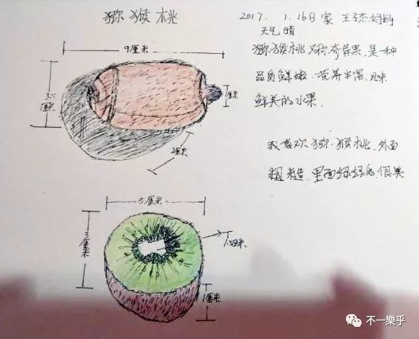 自然笔记日历plus | 王子杰和妈妈选择记录的都是自己喜欢的水果