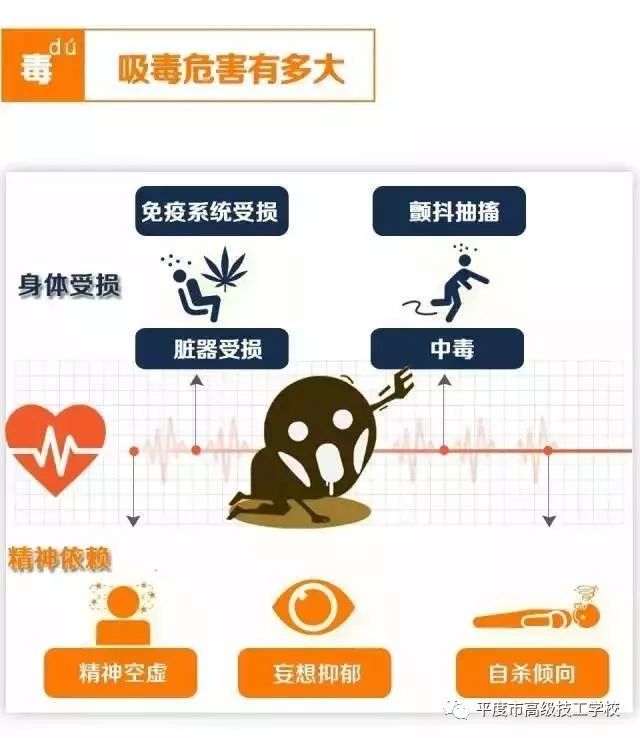 【专题】禁毒小知识系列之认识毒品