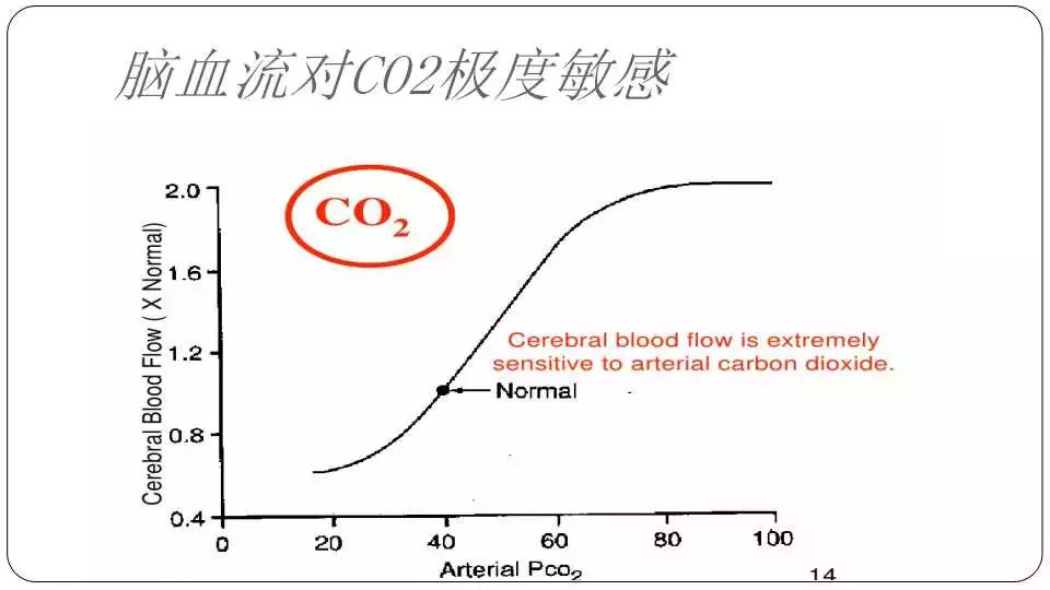 二氧化碳分压在治疗硬膜下积液中起重要作用丨颅脑创伤-神经重症病例