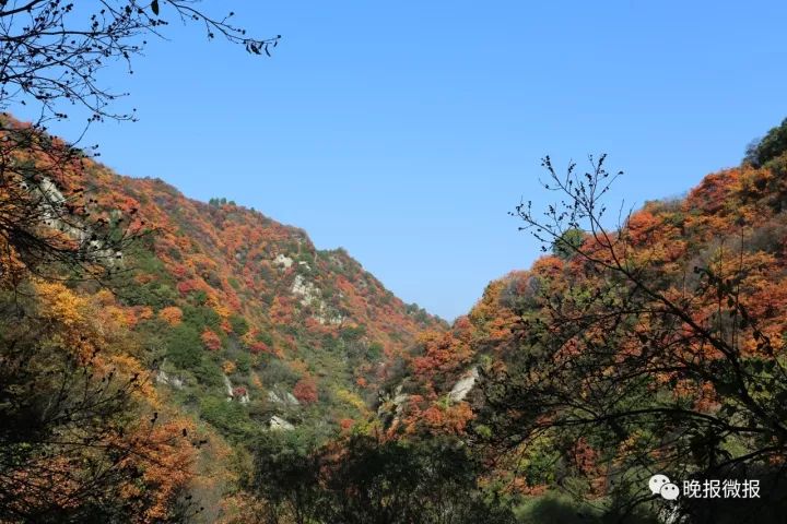 长安区子午街办所辖沿环山路的秦岭峪口共有三个,分别是子午峪,天子峪