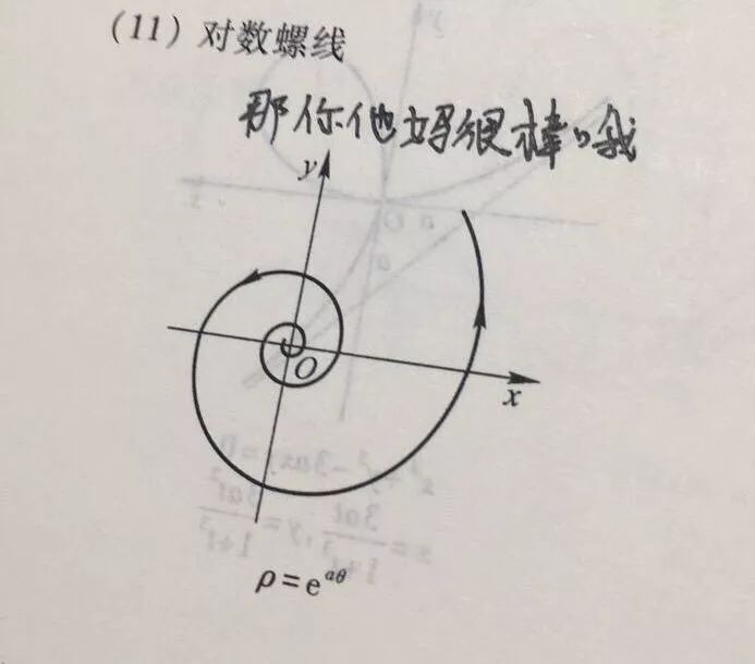 恰恰姐今天高数满分