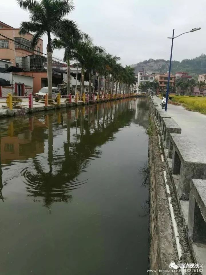 内輋村via | 西胪镇宣传综合整理 | 西胪视线返回搜狐,查看更多