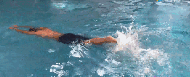 梦觉丨自由泳(二)自由泳腿的几个常见的错误动作及改正