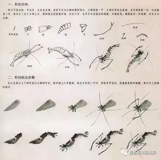 近代中国国画大师齐白石就是以画墨笔虾蟹形神兼得而闻名于世.