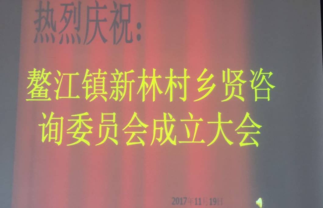 祝贺|鳌江新林村今天成立乡贤咨询委员会暨揭牌仪式