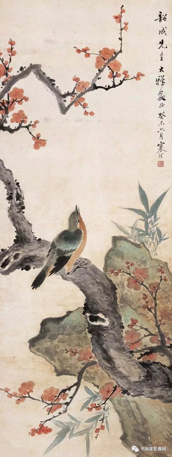 江寒汀画梅谢稚柳画梅《梅花》唐 蒋维翰白玉堂前一树梅,今朝忽见数