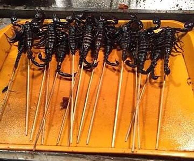 【烤蝎子】蝎子有两只钳子,尾巴有尖尖的毒刺,在昆虫界应该算得上