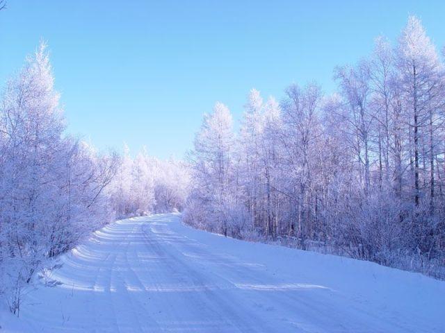 冬日雪景:内蒙古呼伦贝尔大草原的雪