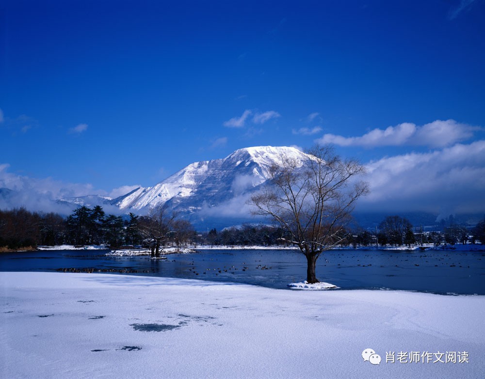 早冬 /白居易