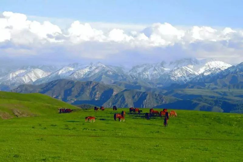 均朱热克,阿克乔克草原,吐尔加辽草原,塔斯特景区,巴尔鲁克山等旅游