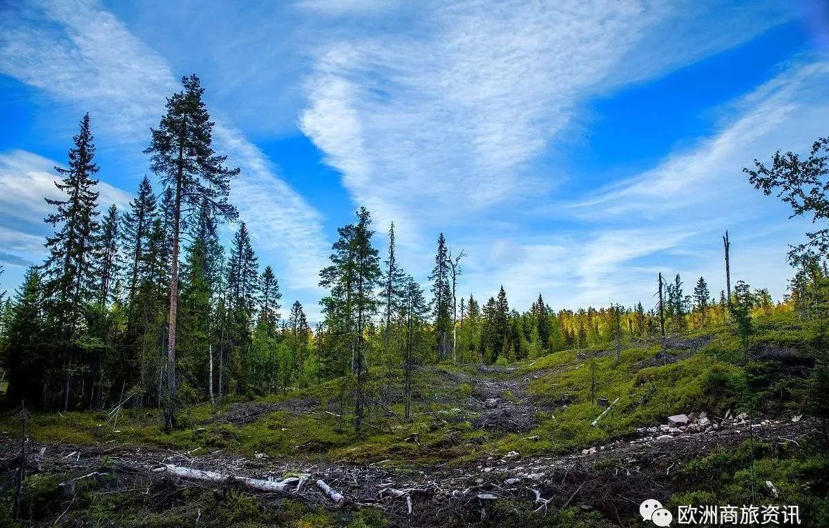挪威的森林,童话秘境挪威的极光可能是世间最极致的美景,这是神赋予