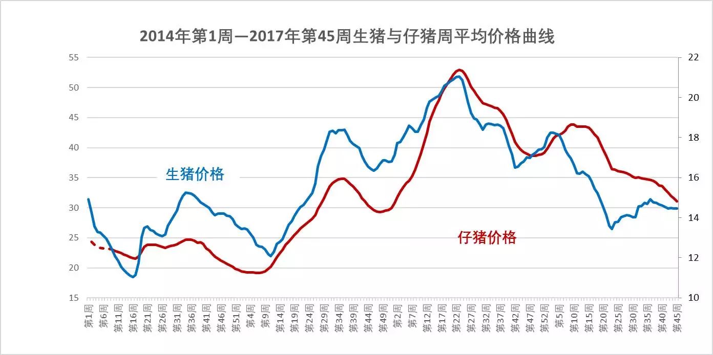 2017年第45周生猪价格,仔猪价格,玉米价格和猪粮比价