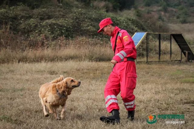 军中"犬王"贾树志的心愿:自己老了去世了,把身体捐给搜救犬事业!