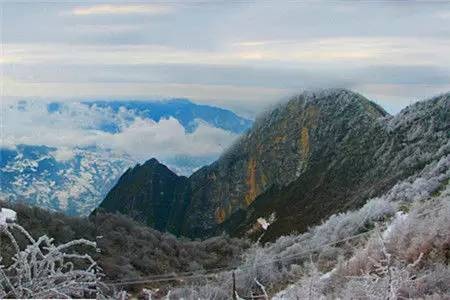 巫山 ·梨子坪森林公园